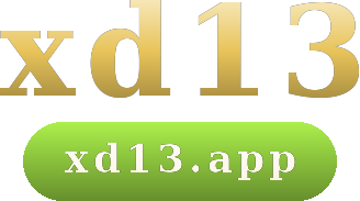 xd13 logo